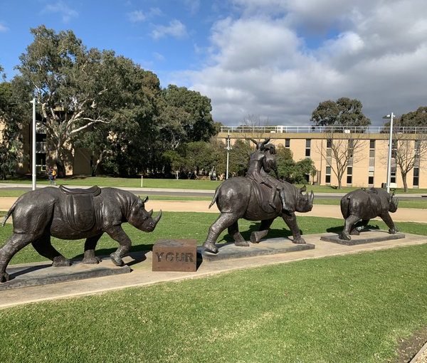 Bronze Famous Rhino Sculpture Outdoor Decor